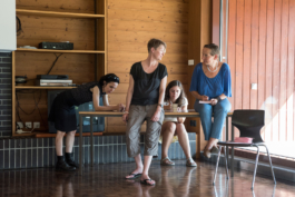 Translocal Performance Art Giswil