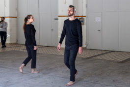 Translocal Performance Art Giswil