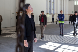 Translocal Performance Art Giswil