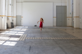 Translocal Performance Art Giswil