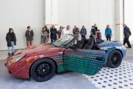 Translocal Performance Art Giswil