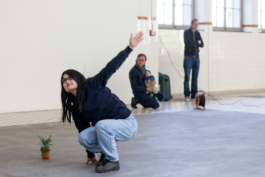 Translocal Performance Art Giswil