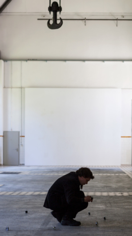 Translocal Performance Art Giswil