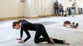 Translocal Performance Art Giswil