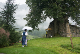 Translocal Performance Art Giswil