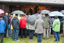 Translocal Performance Art Giswil