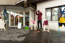 Translocal Performance Art Giswil