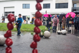 Translocal Performance Art Giswil