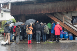 Translocal Performance Art Giswil