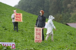 Translocal Performance Art Giswil