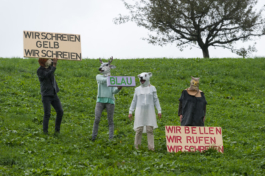 Translocal Performance Art Giswil