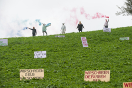 Translocal Performance Art Giswil