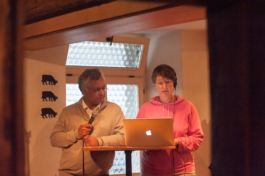 Translocal Performance Art Giswil