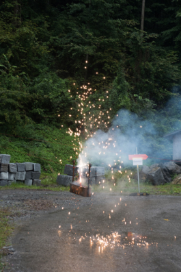 Translocal Performance Art Giswil