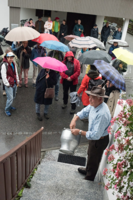 Translocal Performance Art Giswil