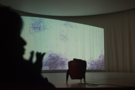 Translocal Performance Art Giswil