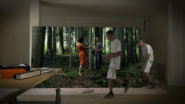 Translocal Performance Art Giswil