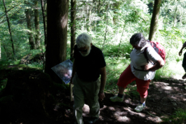 Translocal Performance Art Giswil