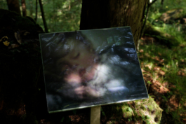 Translocal Performance Art Giswil