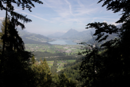 Translocal Performance Art Giswil