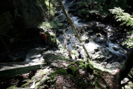 Translocal Performance Art Giswil