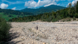 Translocal Performance Art Giswil