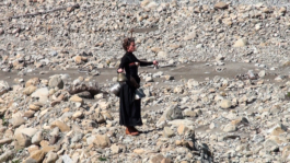 Translocal Performance Art Giswil