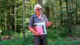 Translocal Performance Art Giswil