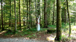 Translocal Performance Art Giswil