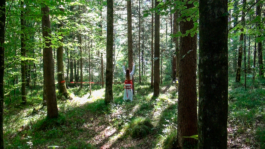 Translocal Performance Art Giswil