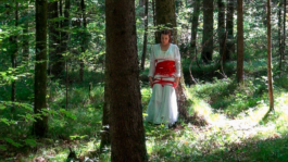 Translocal Performance Art Giswil