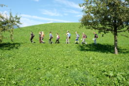 Translocal Performance Art Giswil