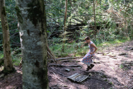 Translocal Performance Art Giswil