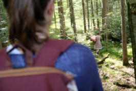 Translocal Performance Art Giswil