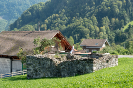 Translocal Performance Art Giswil