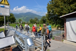 Translocal Performance Art Giswil