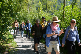 Translocal Performance Art Giswil