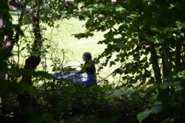 Translocal Performance Art Giswil