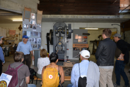 Translocal Performance Art Giswil