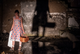 Translocal Performance Art Giswil