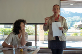 Translocal Performance Art Giswil