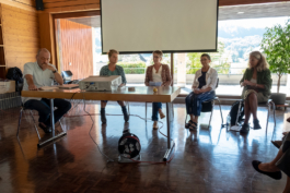 Translocal Performance Art Giswil