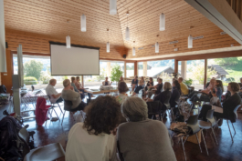 Translocal Performance Art Giswil