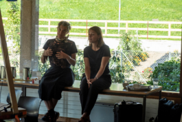 Translocal Performance Art Giswil