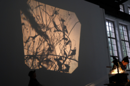 Translocal Performance Art Giswil