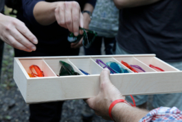 Translocal Performance Art Giswil