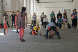 Translocal Performance Art Giswil