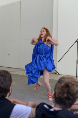 Translocal Performance Art Giswil