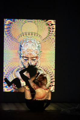 Translocal Performance Art Giswil