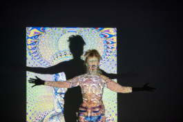 Translocal Performance Art Giswil